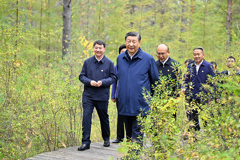 9月6日至8日，中共中央總書記、國家主席、中央軍委主席習(xí)近平在黑龍江考察。這是6日下午，習(xí)近平在大興安嶺地區(qū)漠河市漠河林場自然林區(qū)考察